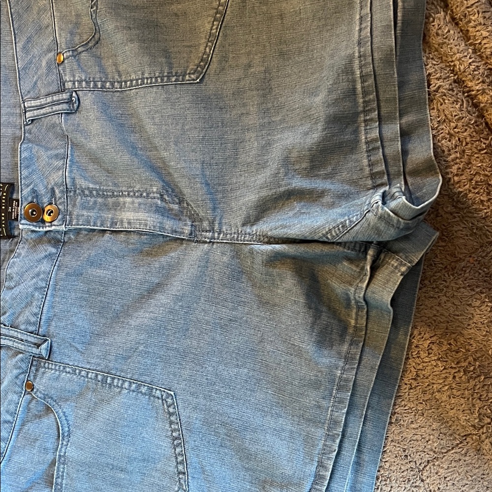 Forever 21 Plus Size Blue Denim Shorts